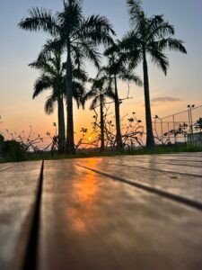 WhatsApp Image 2025-02-06 at 10.49.46