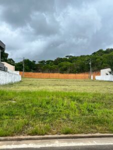 WhatsApp Image 2025-02-06 at 10.59.55