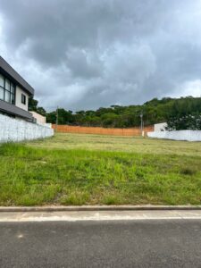 WhatsApp Image 2025-02-06 at 10.59.55 (4)