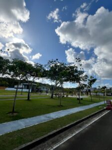 WhatsApp Image 2025-02-06 at 10.59.56 (1)